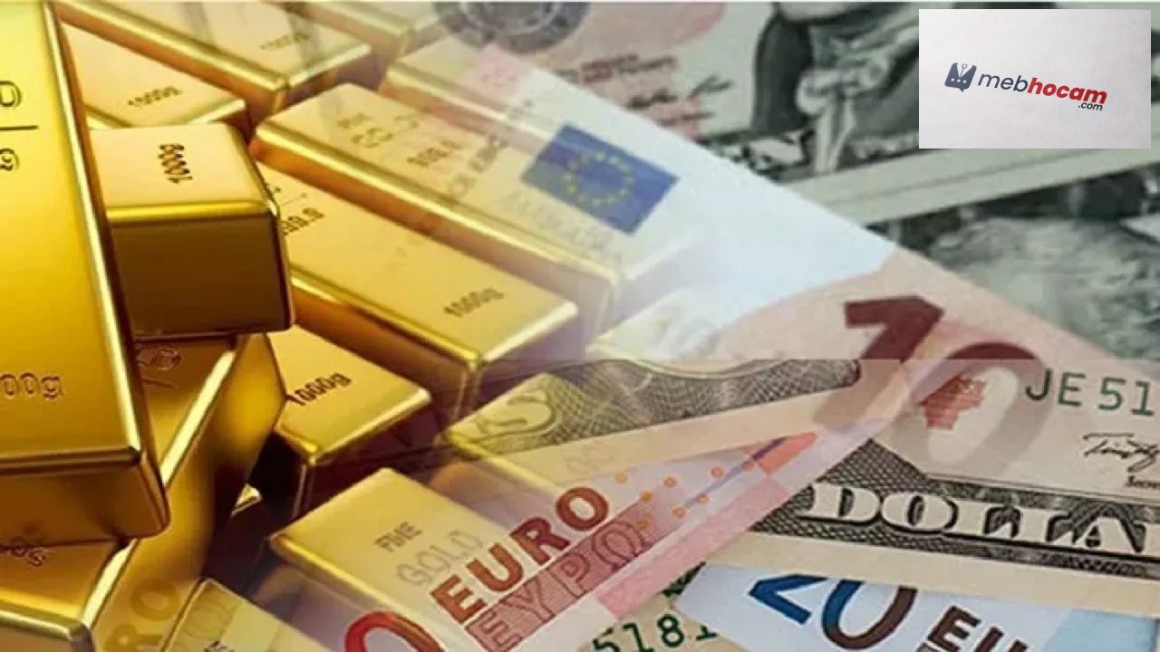 Altın, dolar ve euro yatırımları tarihe mi karışıyor? O yatırım aracı yüzde 29 oranında kazandırdı!