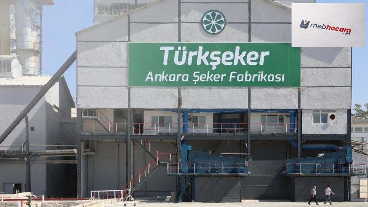 Türkiye Şeker Fabrikaları personel alımı ilanı güncellendi! Müfettiş yardımcısı alımı yapılacak!