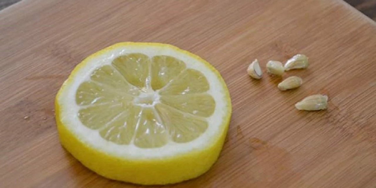 Limon Çekirdeğindeki Faydaları Öğrenince Çok Şaşıracaksınız! Limon Çekirdeğinin Kullanım Alanı Duyanları Şaşırtacak