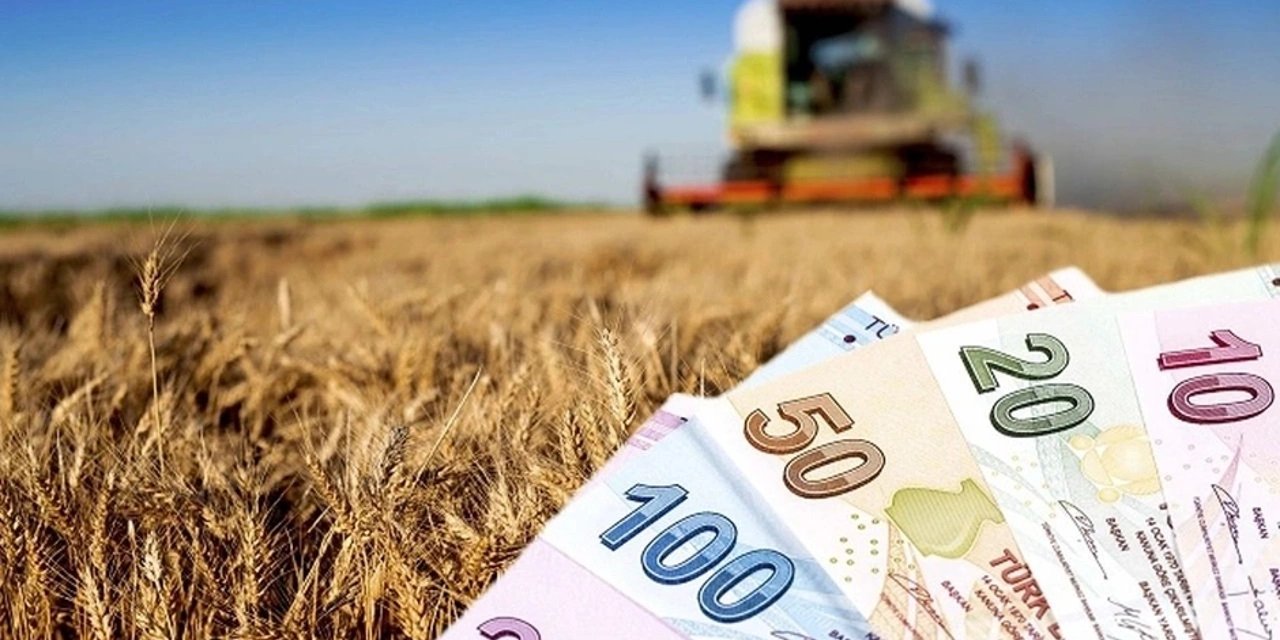 Çiftçilere 2024 Yılı Tarımsal Destek Ödemeleri Başlıyor!