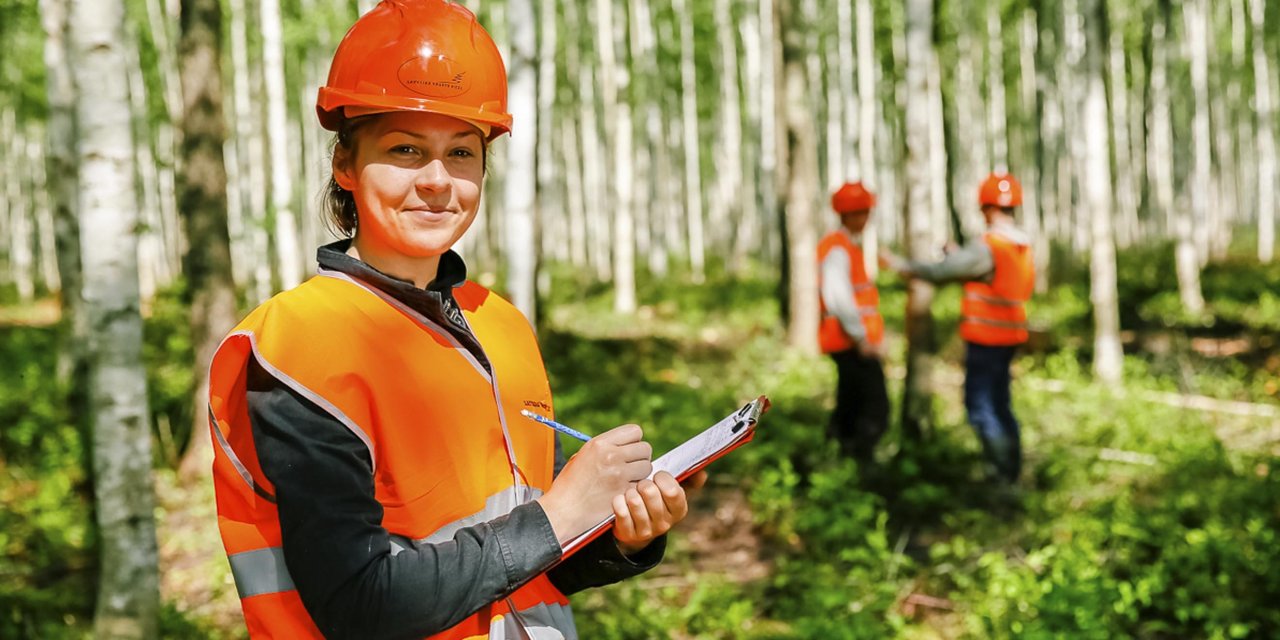 Sözleşmeli personel alınacak, sözleşmeli orman mühendisi aranmaktadır, başvuru ekranı