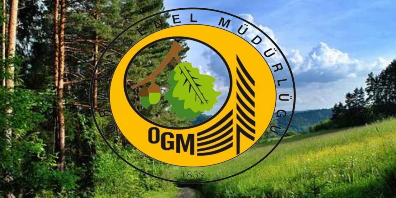 OGM (Orman Genel Müdürlüğü) sözleşmeli personel alımı olacak, Peki son başvuru tarihi ne zaman?